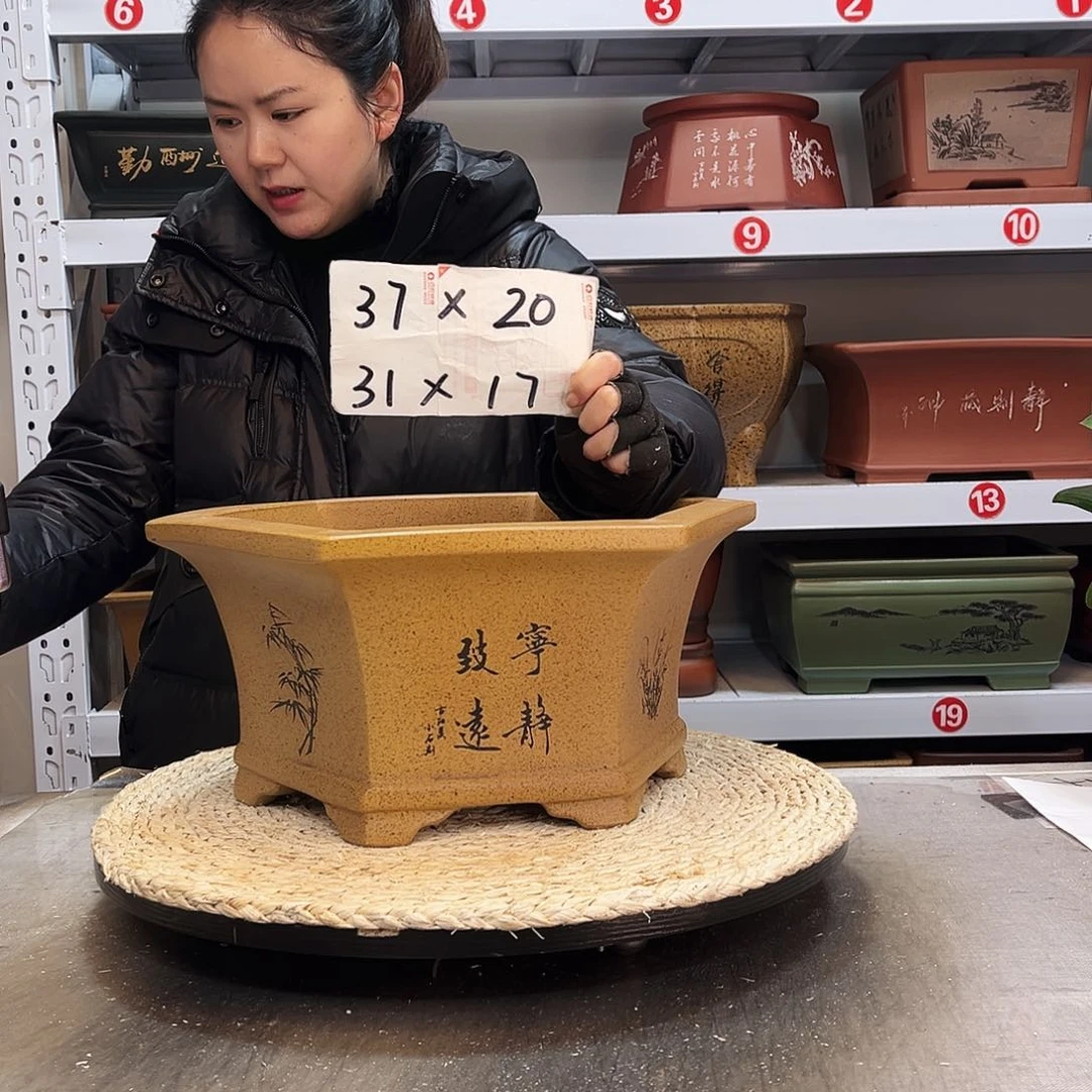 紫砂花盆紫砂花盆
