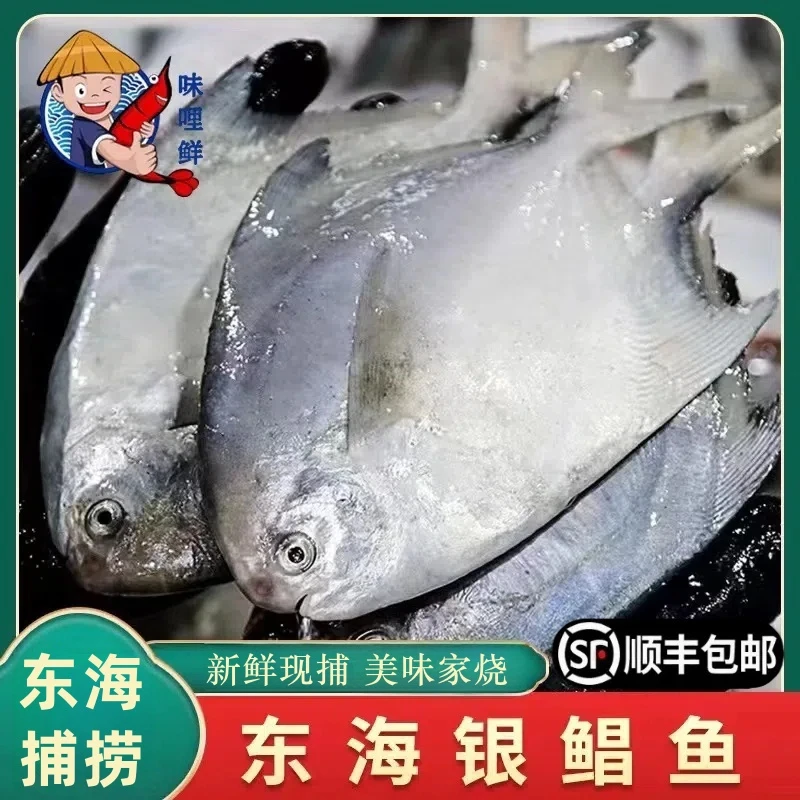 味哩鲜 东海特产深海鲳鱼5条/500克4袋装营养肉质美味