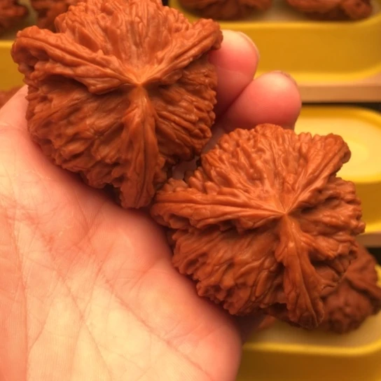 用***2核桃和他的和他的核桃核桃