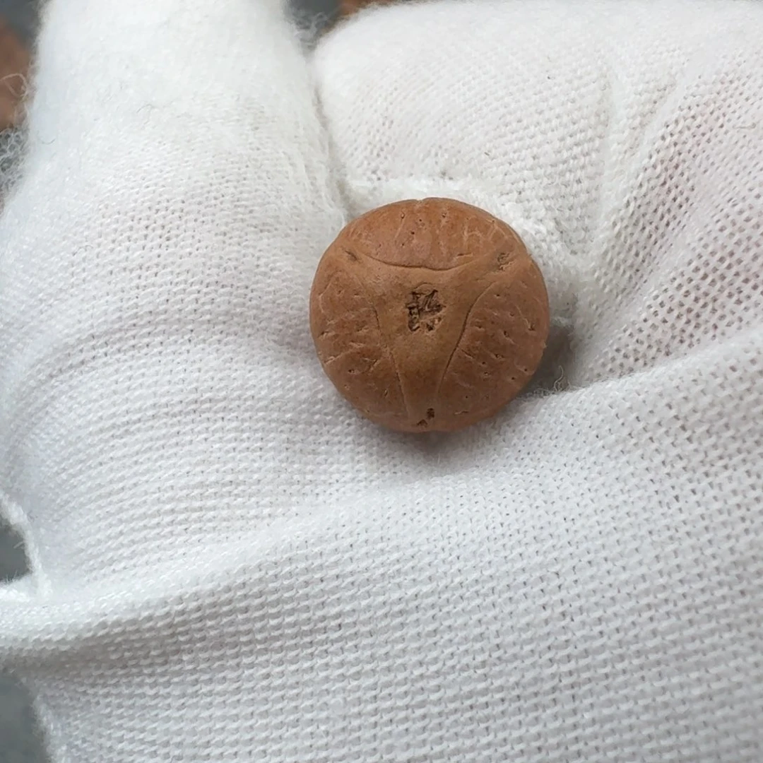 吊坠凤眼菩提11.6龙眼