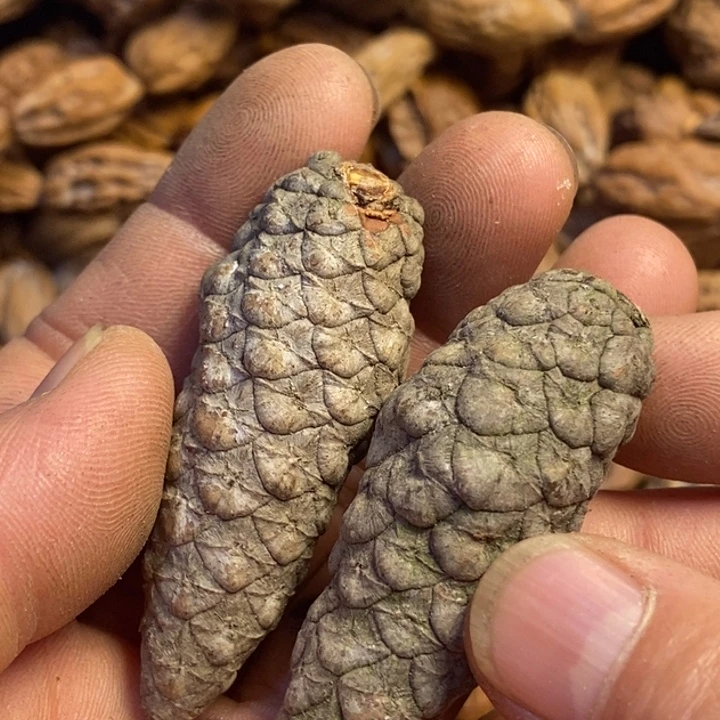 吊坠文玩核桃东北特产96