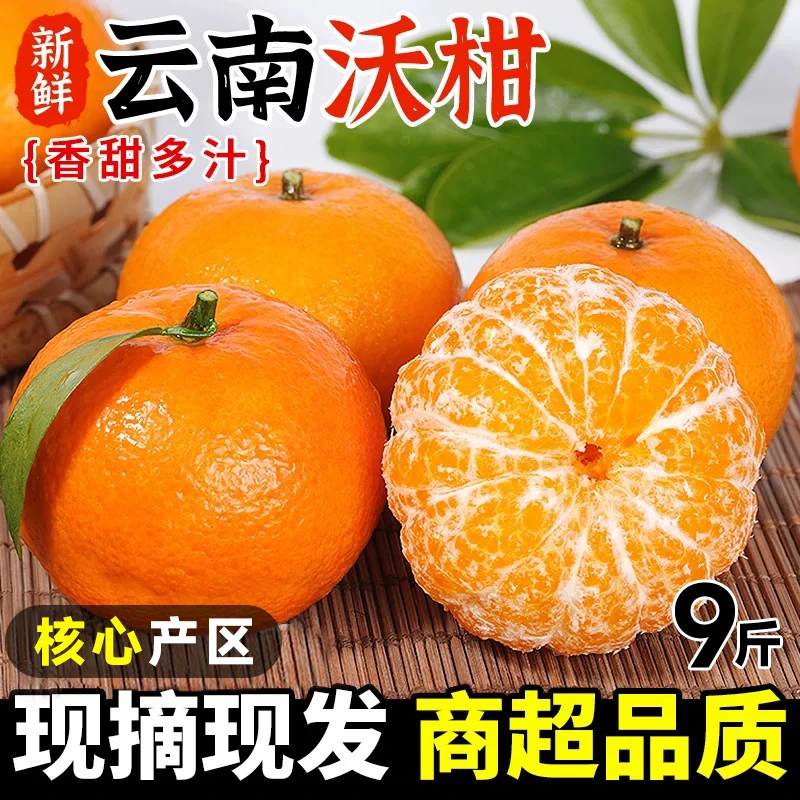 正宗云南大理高山沃柑9斤现摘现发甜蜜多汁晚熟新鲜水果橙子橘子