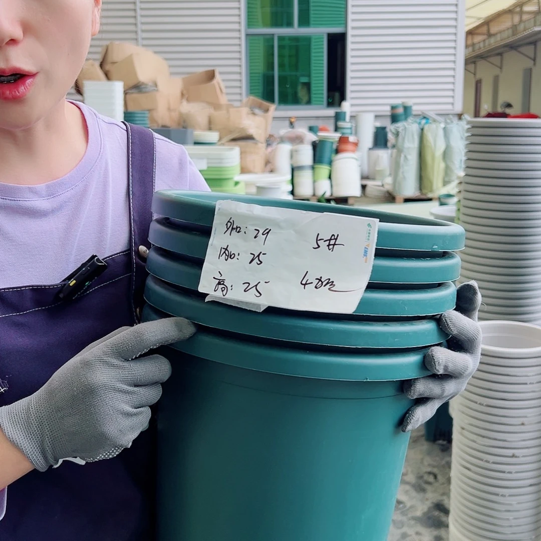 四季盆5#墨绿6个无托