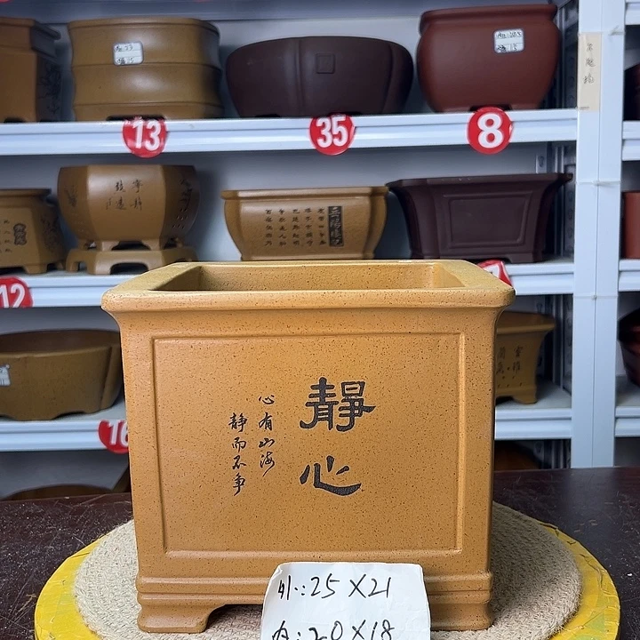 紫砂花盆你在一起