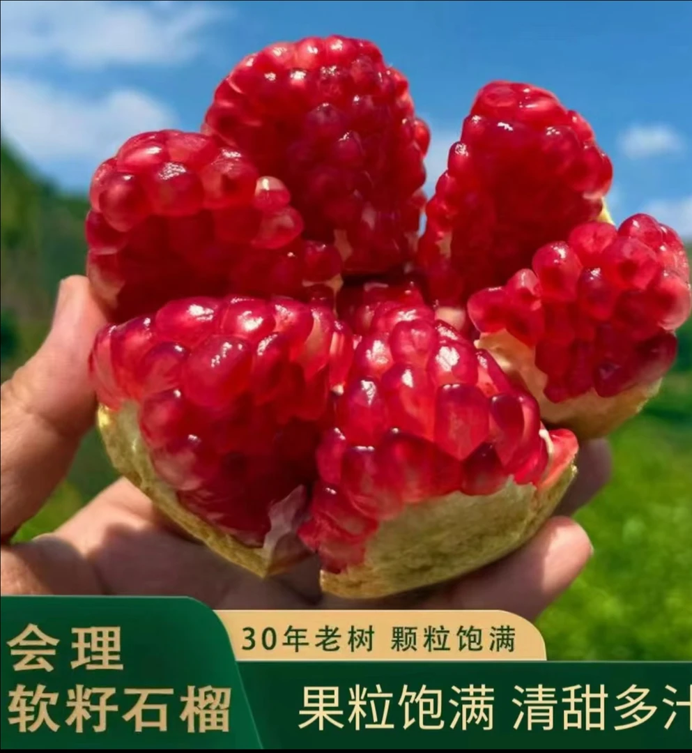 四川会理突尼斯软籽石榴爆甜多汁应季水果孕妇水果不吐籽