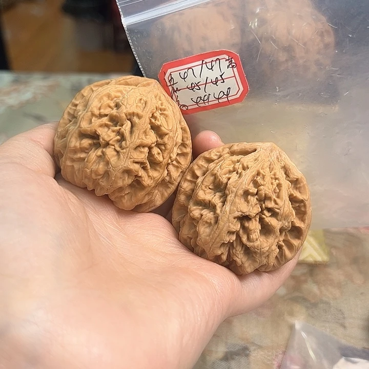 文玩核桃把件非嫁接大粗筋