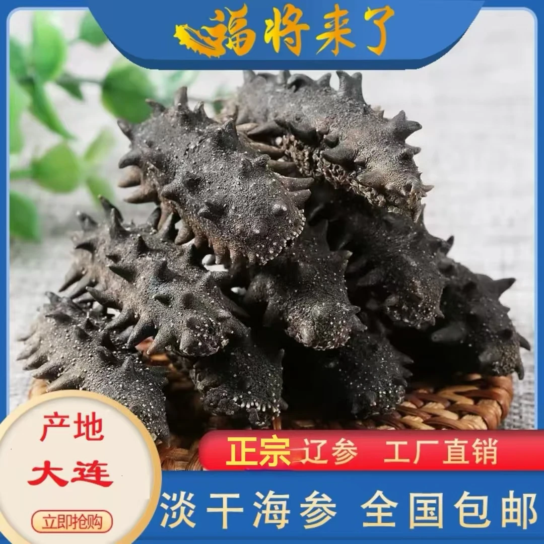 福匠来了大连淡干海参刺参高泡发干货100g包邮