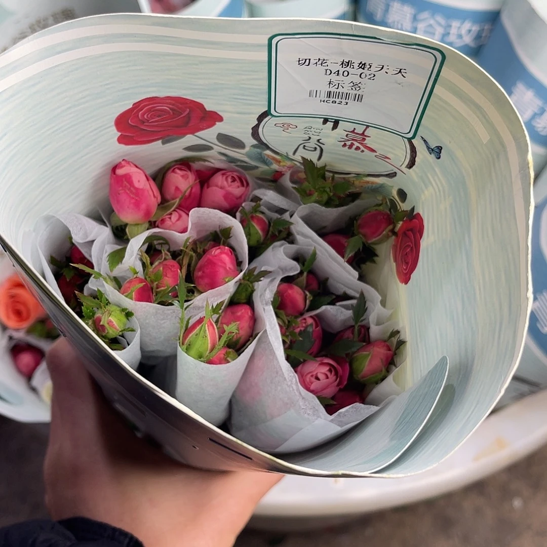 全部花苞青幕谷（桃姬夭夭）一扎