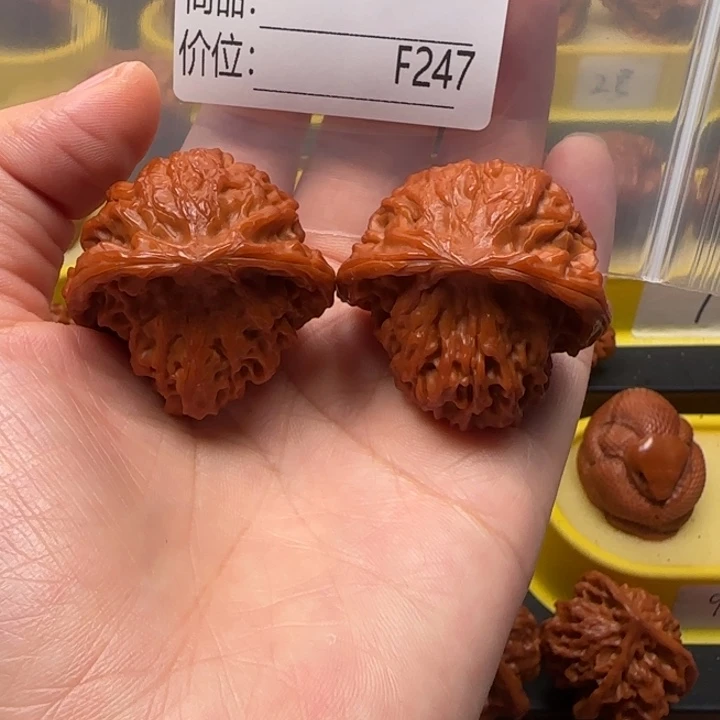 核桃抱子蛇抱一起38