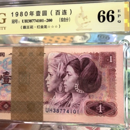 38774101百连红金龙