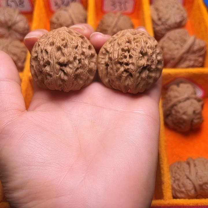 葫芦涞水山地果白狮子41全品