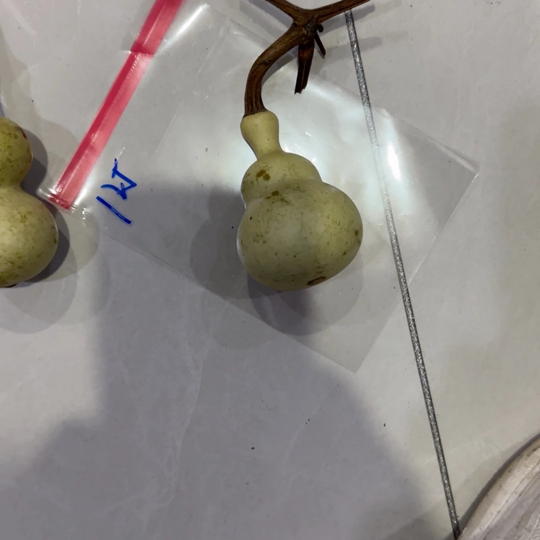 王***药青皮不包成，，，，，，，，，，