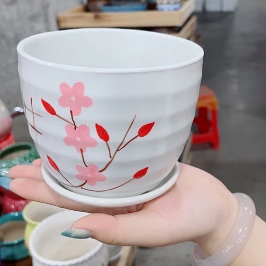 花盆凑单福利满10元发货！