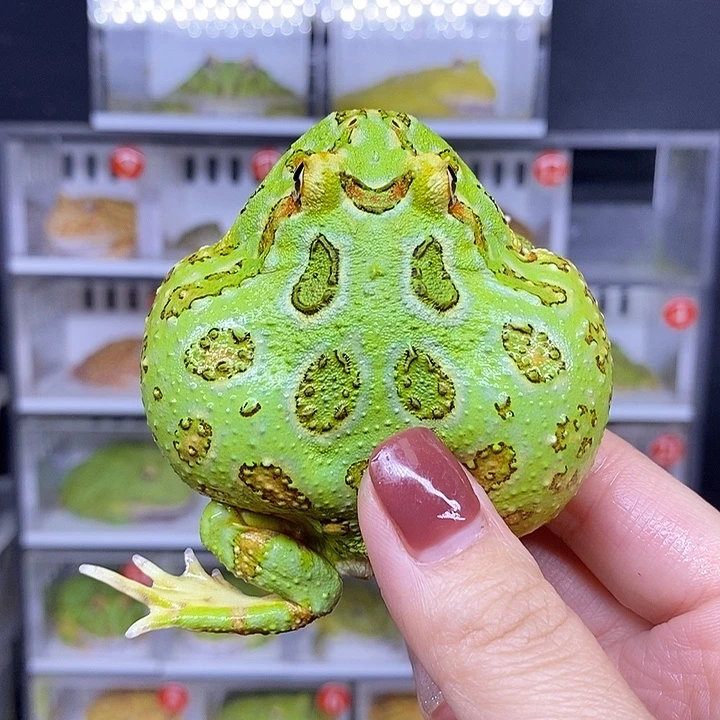 特价秒杀现货供应