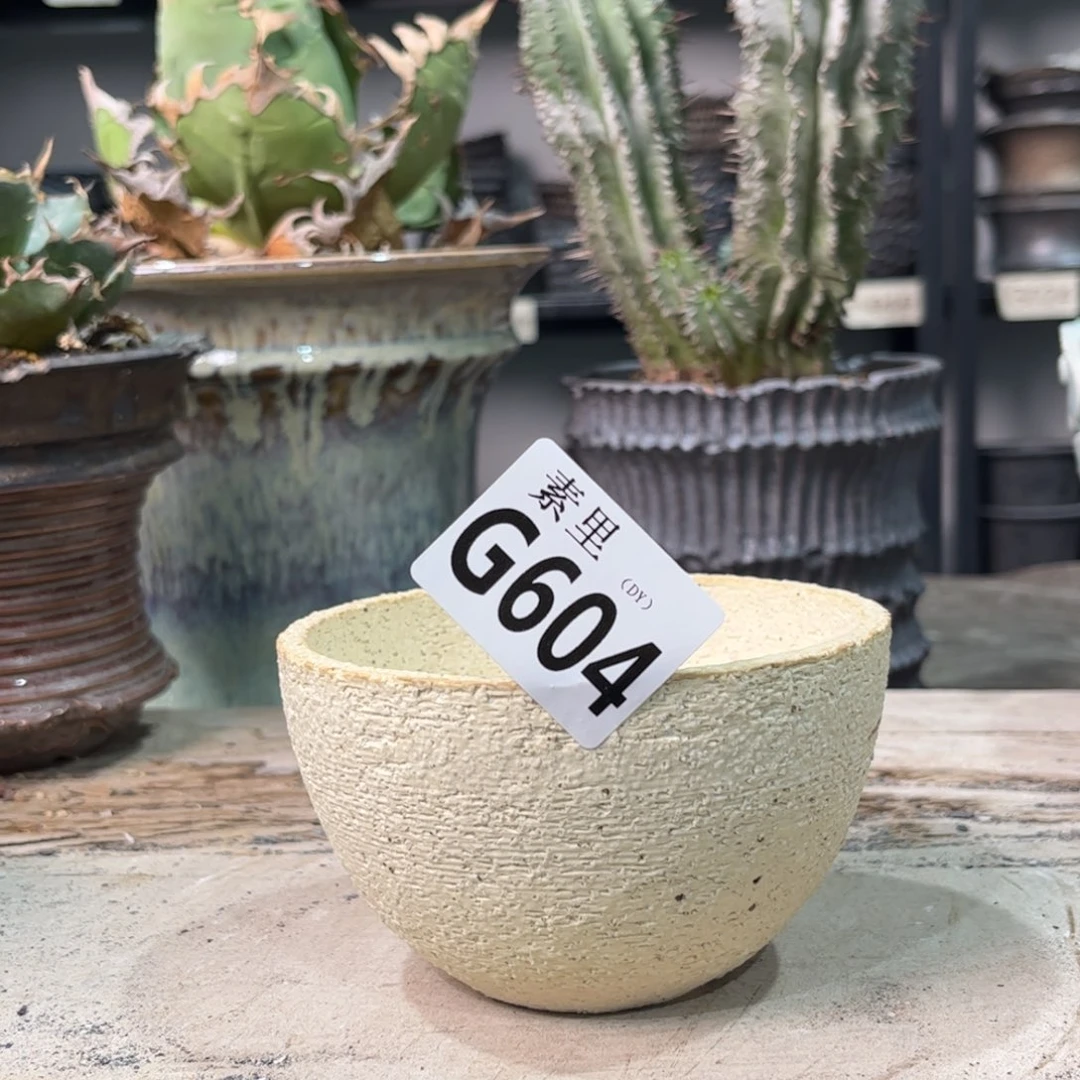 陶内口10高6.5瑕疵