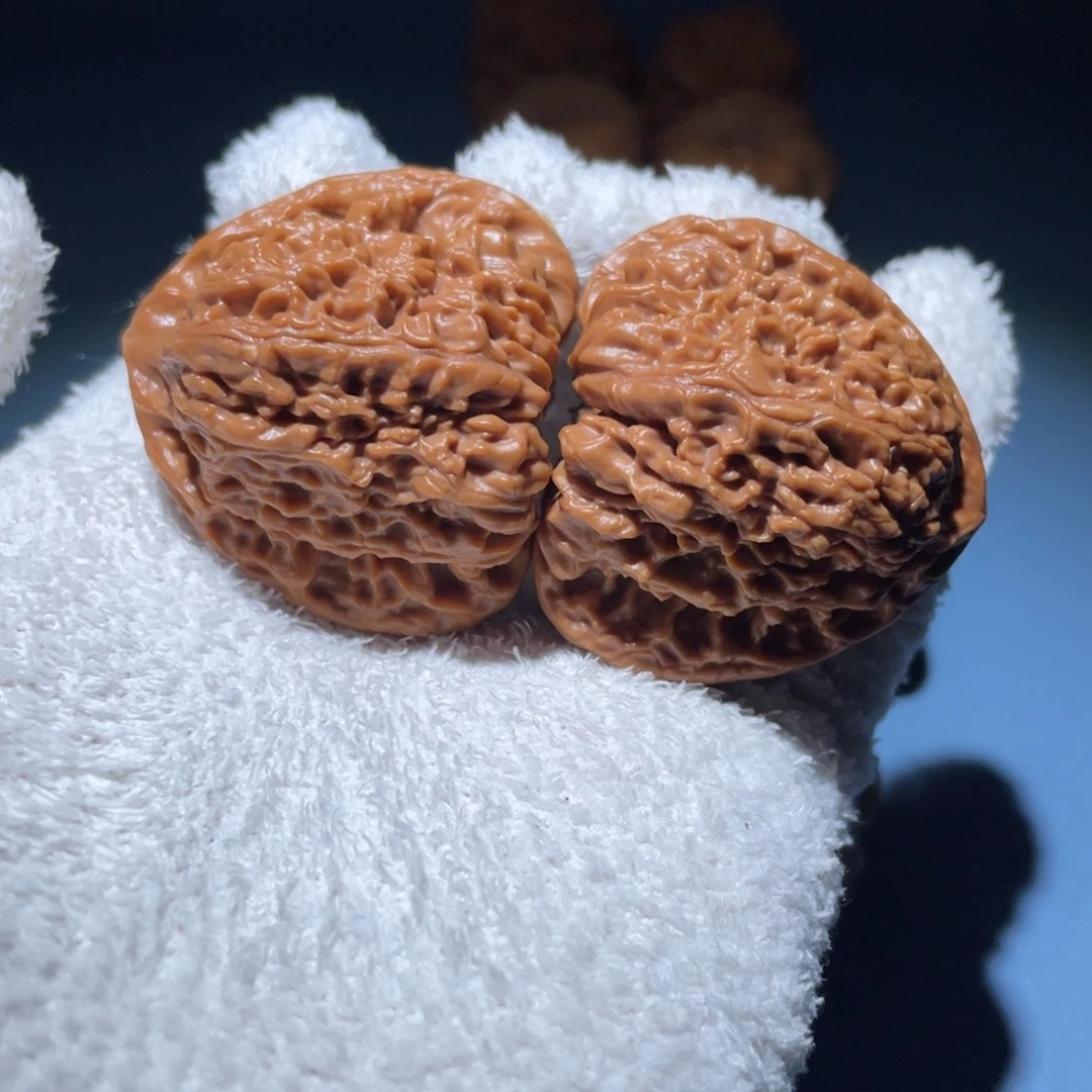 大叶紫檀（黑酸枝木类）