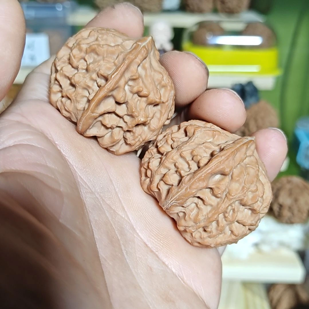 44尺寸全品金麒麟