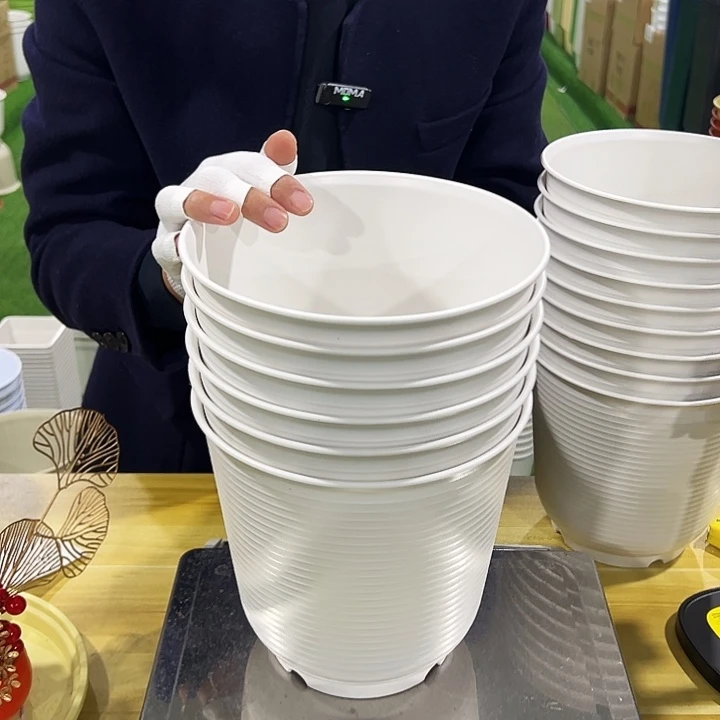 正品高陶口21高21白色无托6个