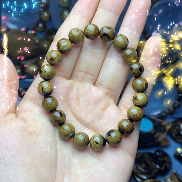 香榧木?****）血柳精品黄多多