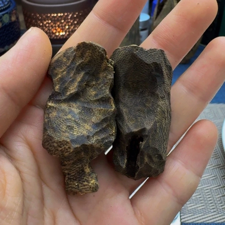 沉香碎屑沉香白棋乌身一代苗包壳老料11克