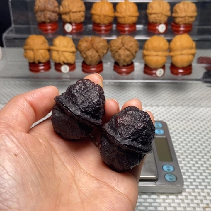 文玩核桃把件43开背霸王龙