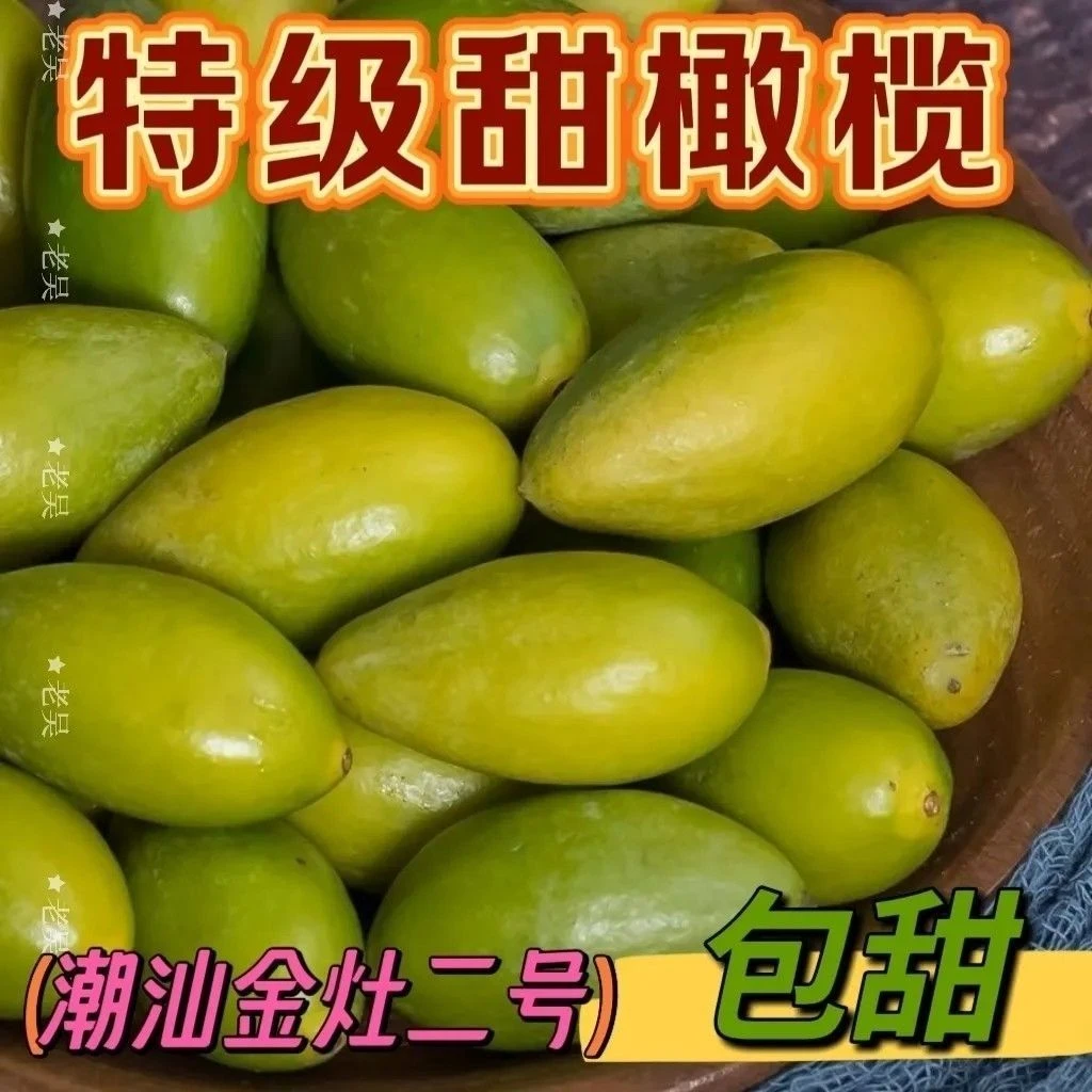潮汕青苹果马蹄橄榄青橄榄青枣脆新鲜现摘煲汤泡酒生吃2斤装包邮