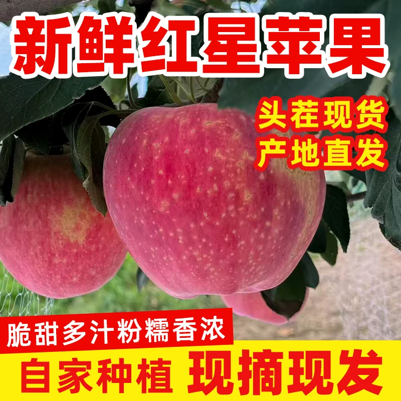 山西运城万荣红星苹果脆甜多汁粉糯香浓【大果】8.5斤净重特产地箱