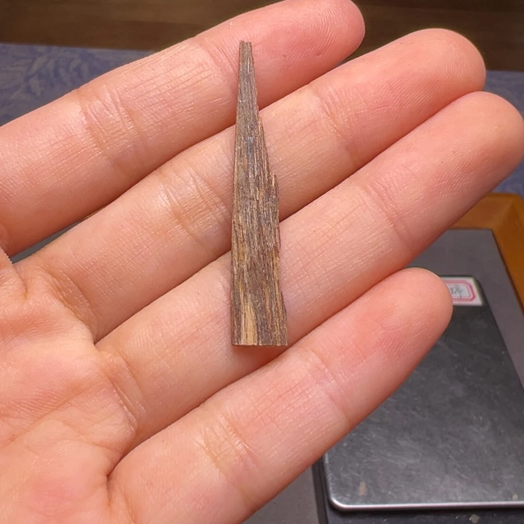 沉香沉香碎屑广东台山沉水老树心0.2克