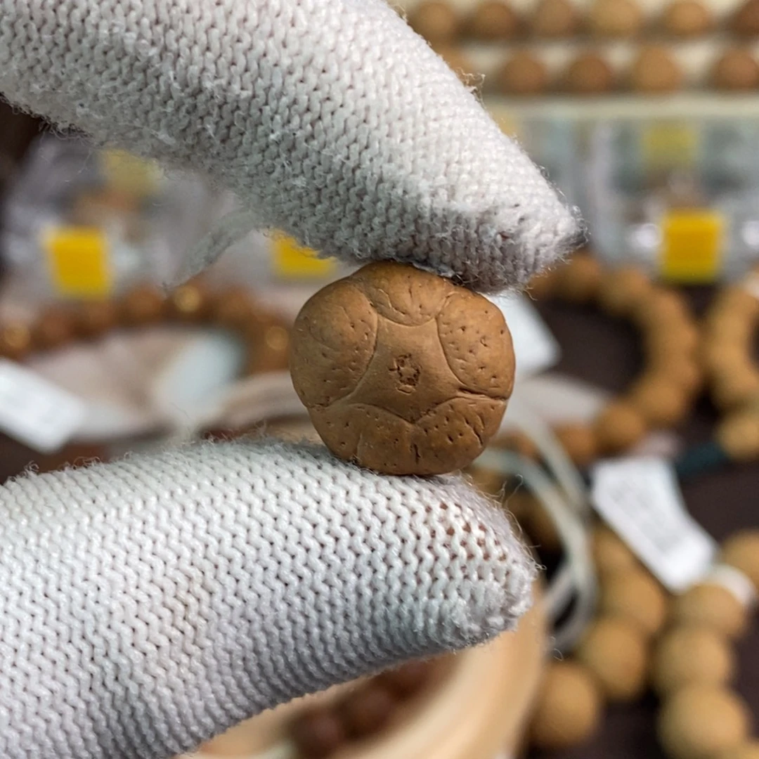 凤眼菩提吊坠15.7五星单颗