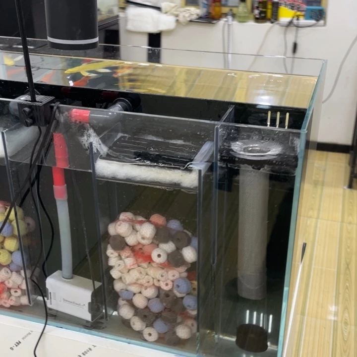 *****100 40 40背双全套