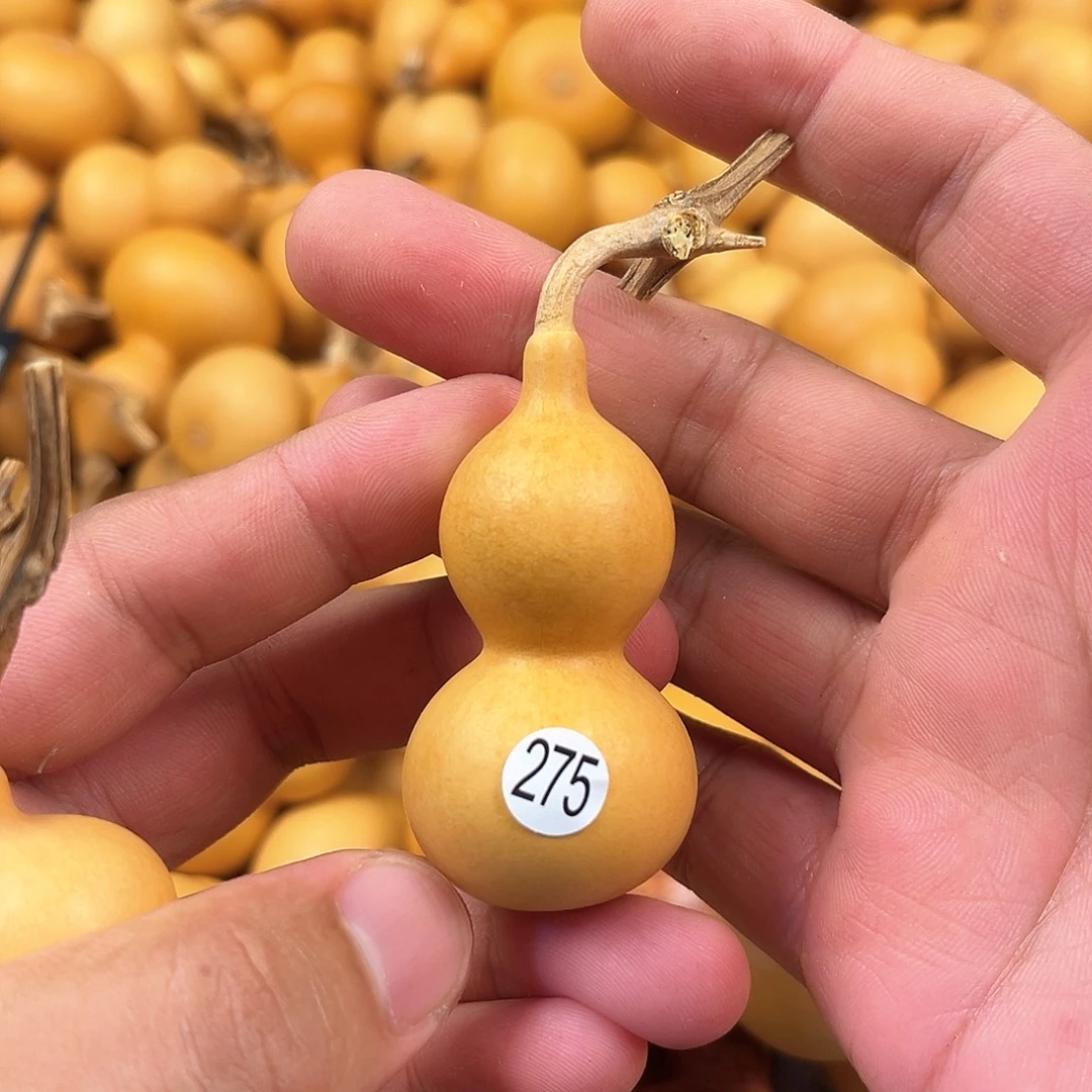 二葫芦葫芦葫芦葫芦275