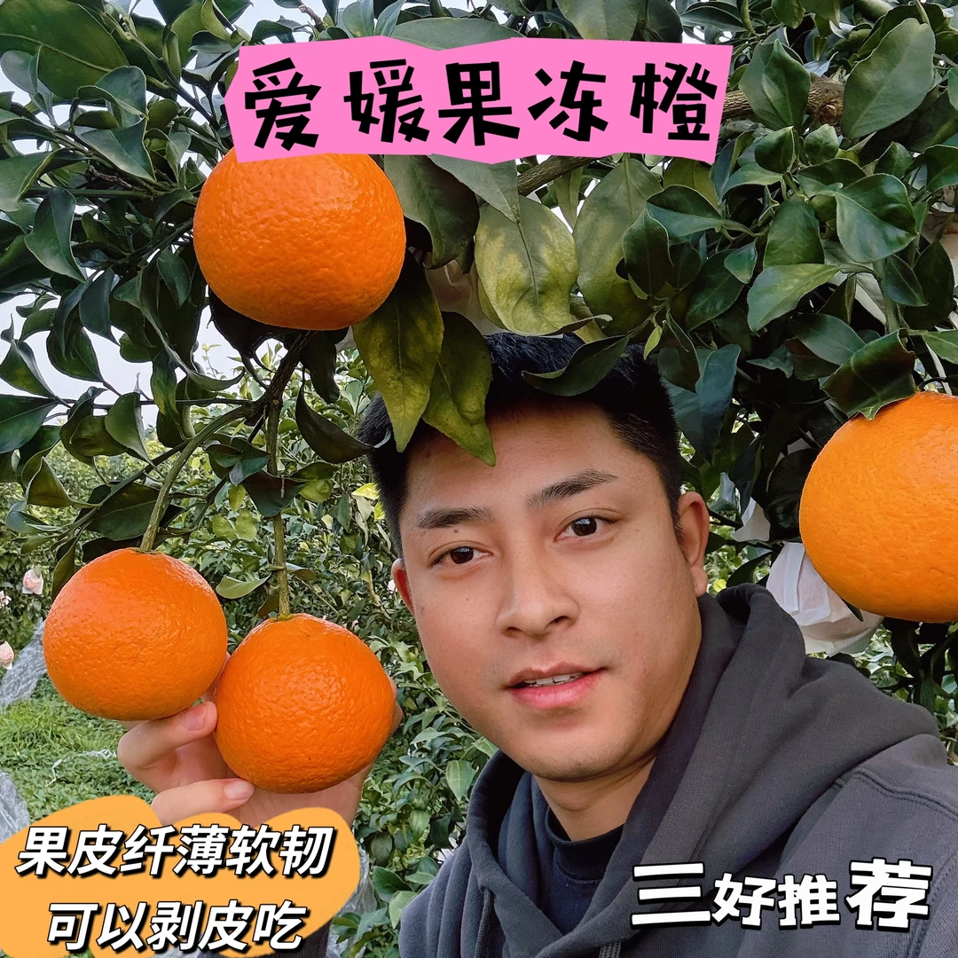 三好推荐-四川正宗爱媛果冻橙（京东）