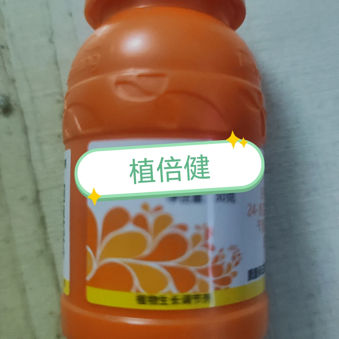 叶面肥代替涂抹喷施型膨果美容