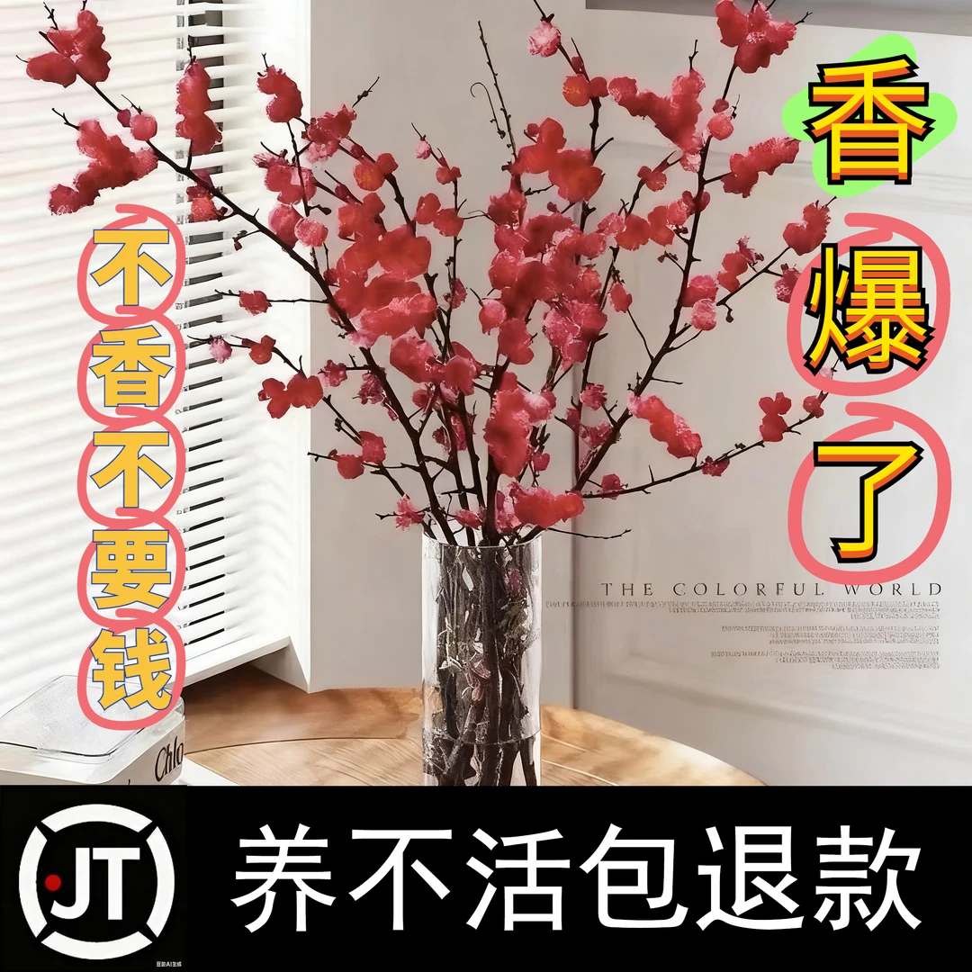 （带花苞）水培梅花鲜枝红梅年宵花新年装饰梅花设迷适合客厅干花