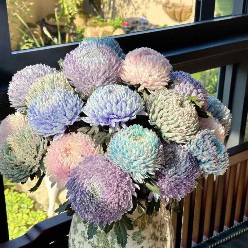 其他【牡丹菊】（任意三件包邮）未拍保温棉，冻伤不售后