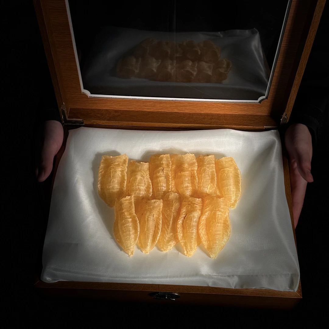 【胶源日记精选】鱼胶干货（改价链接）