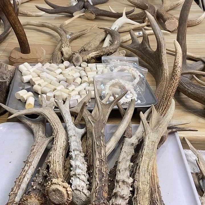 凯***殖大叶紫檀（黑酸枝木类）