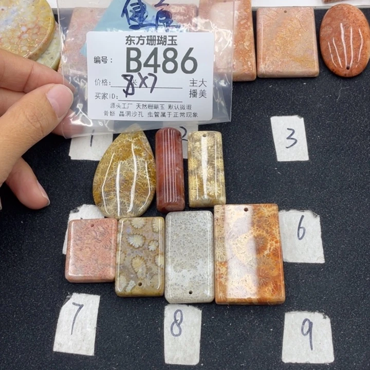 硅化珊瑚（珊瑚玉）颈饰合金健**宁