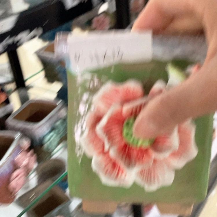 【闪购商品】红陶福利