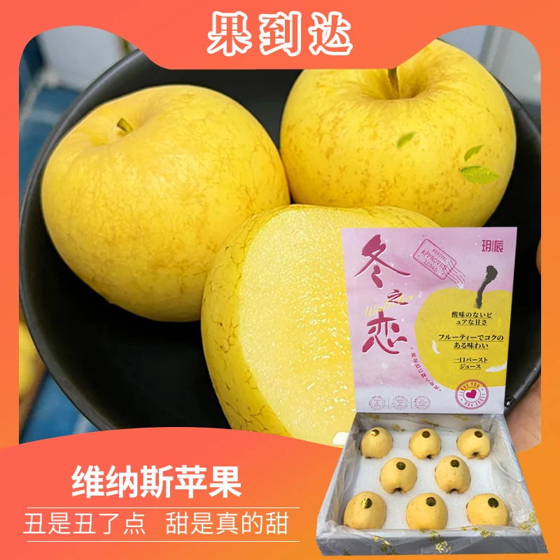 【礼盒】维纳斯苹果净重 5斤8粒 甜脆可口 香气十足