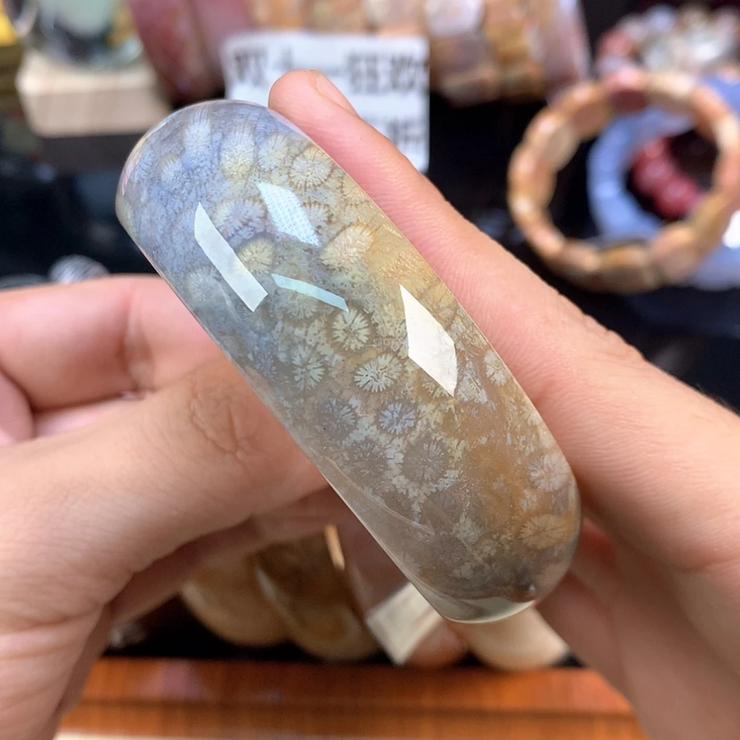 【闪购商品】颈饰未镶嵌硅化珊瑚（珊瑚玉）52号灰蓝雏菊57.2圈