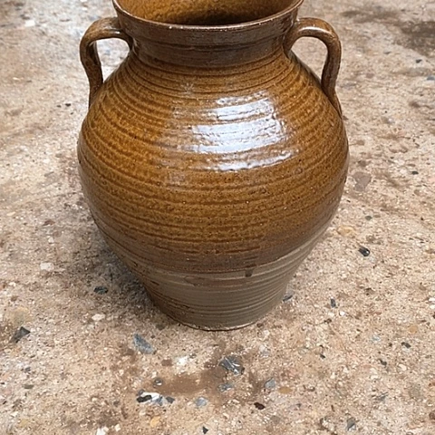 无花朵玫瑰花鲜花鲜花鲜花