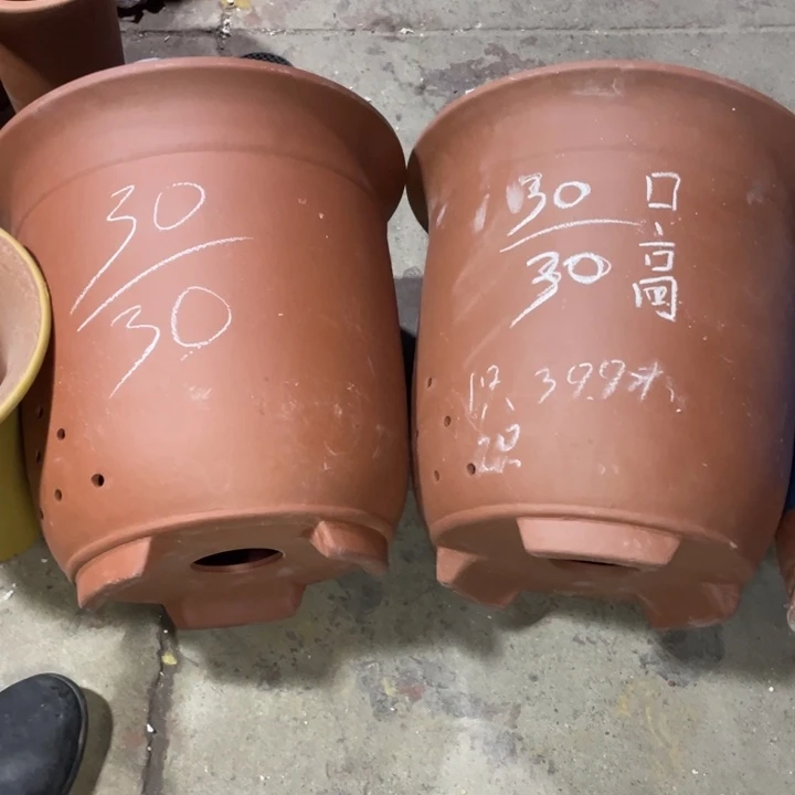 周深周深周深周深