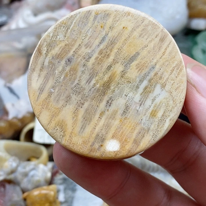 硅化珊瑚（珊瑚玉）未镶嵌颈饰水*