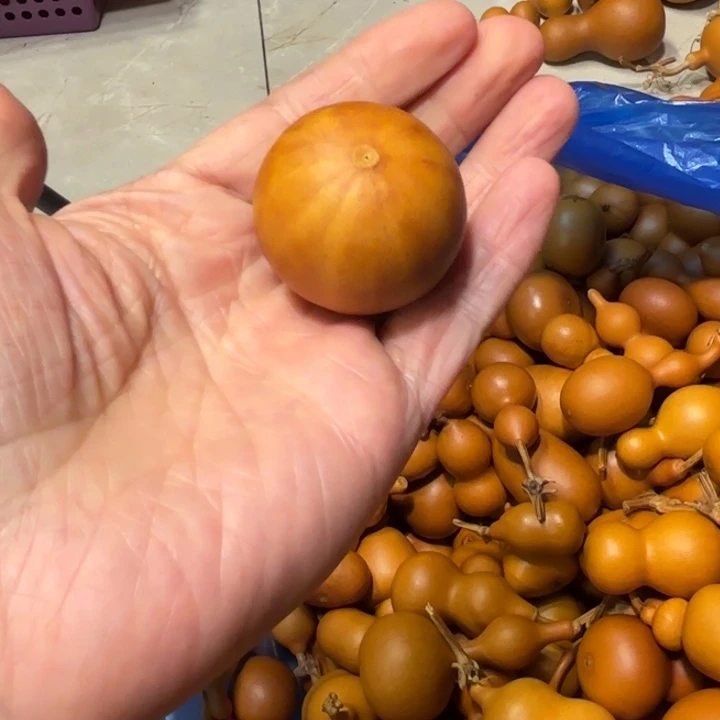 彼***阳彼此的彼此的太阳的一把西瓜球