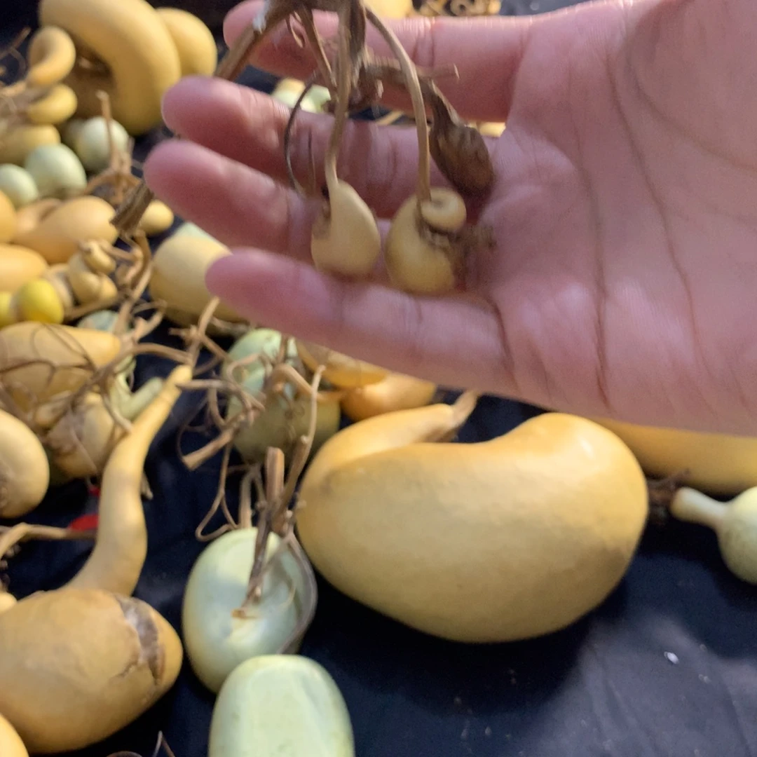 如***丶银S925葫芦葫芦户主是谁