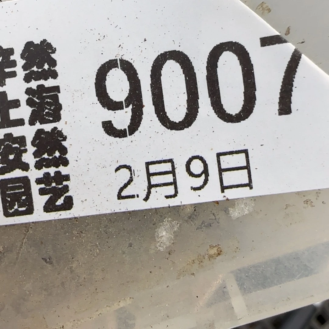 芒*2.9，189，风铃，9007