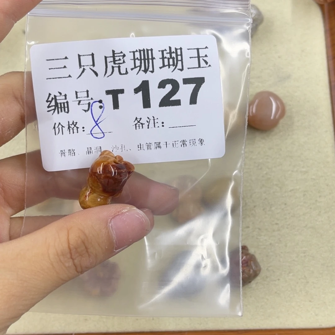 S***.硅化珊瑚（珊瑚玉）h未镶嵌