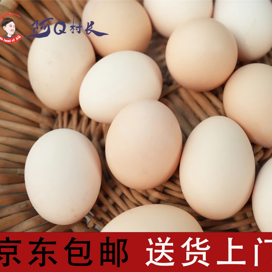 江西新余农家散养土鸡蛋20枚装
