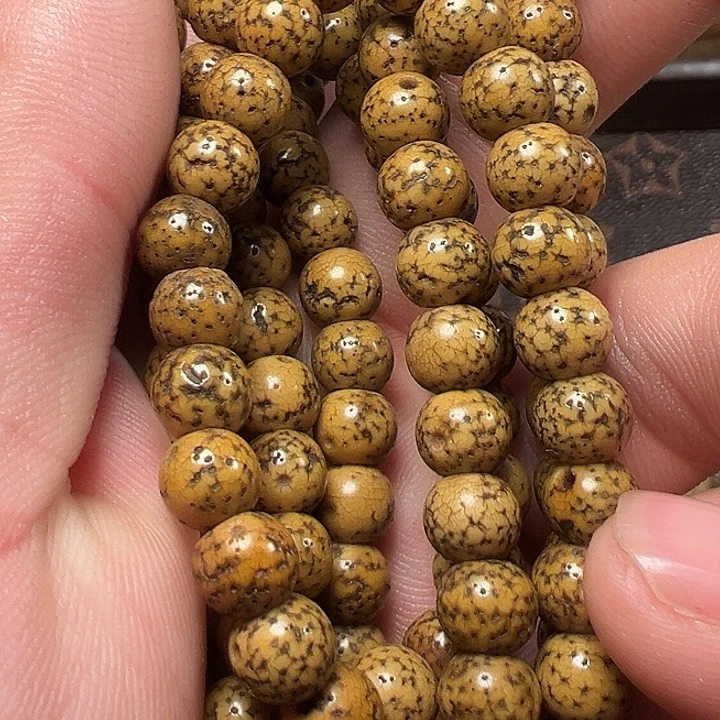 我们都是在这里看到的